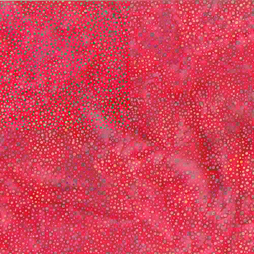 3019-148.jpg