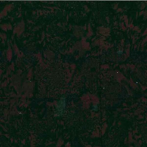 3018-696.jpg