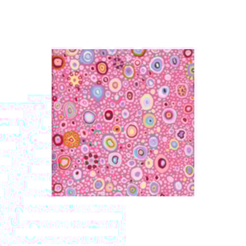8200-107.jpg