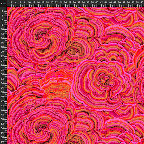 8200-392.jpg