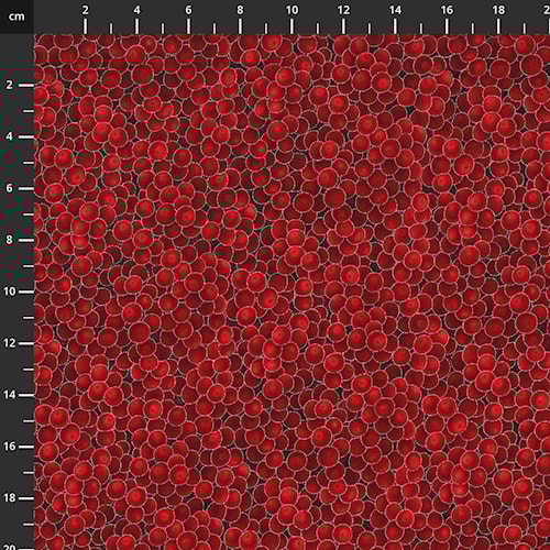 3290-001.jpg