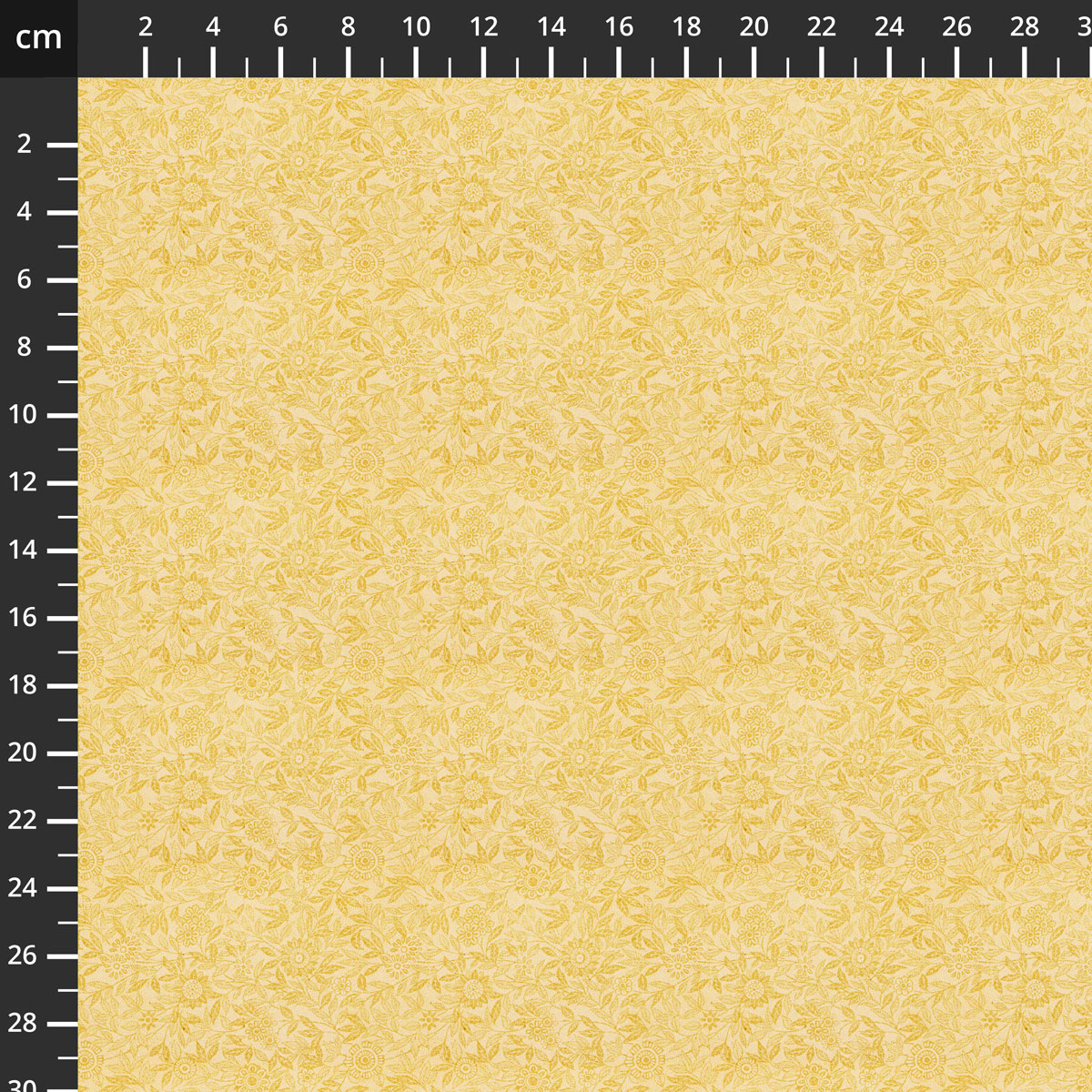 7056-569.jpg