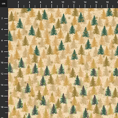 4592-202.jpg