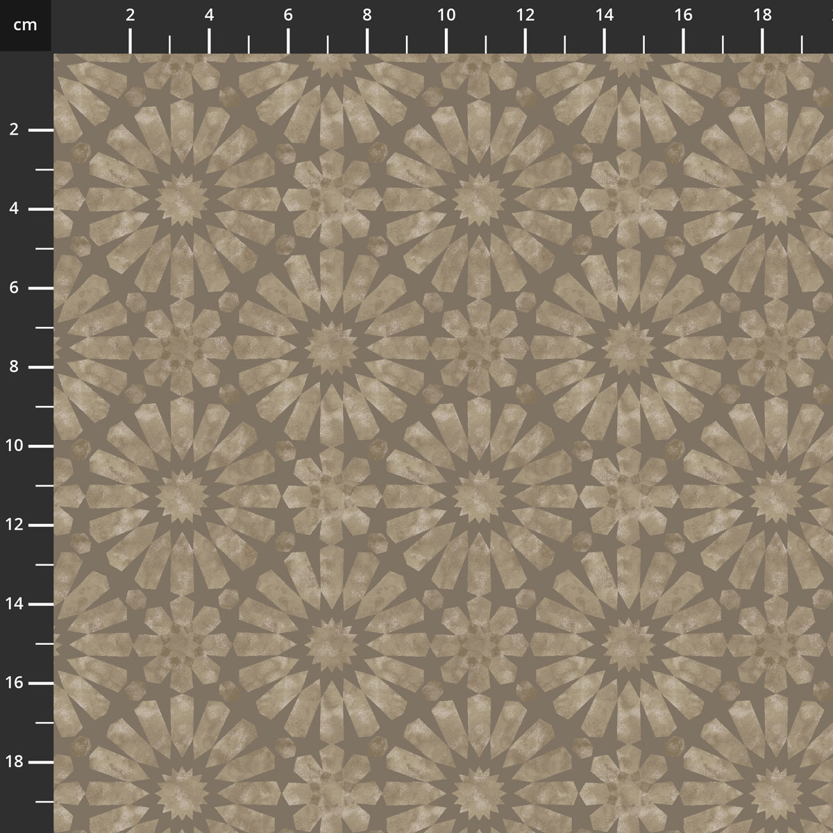 4707-784.jpg
