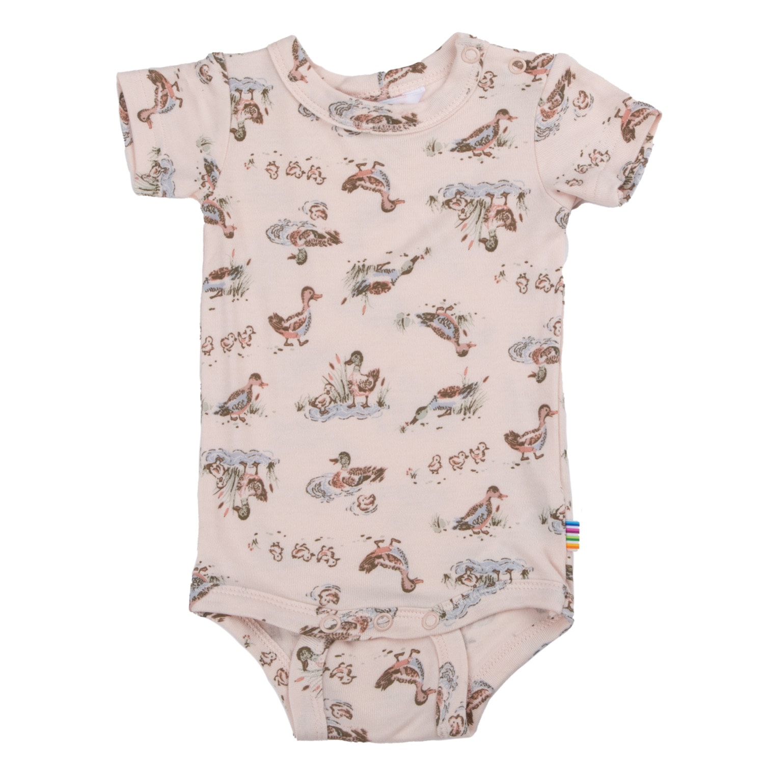 Body w/short sleeves