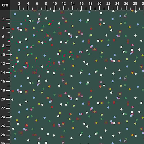 CONF5000-HOLLY.jpg
