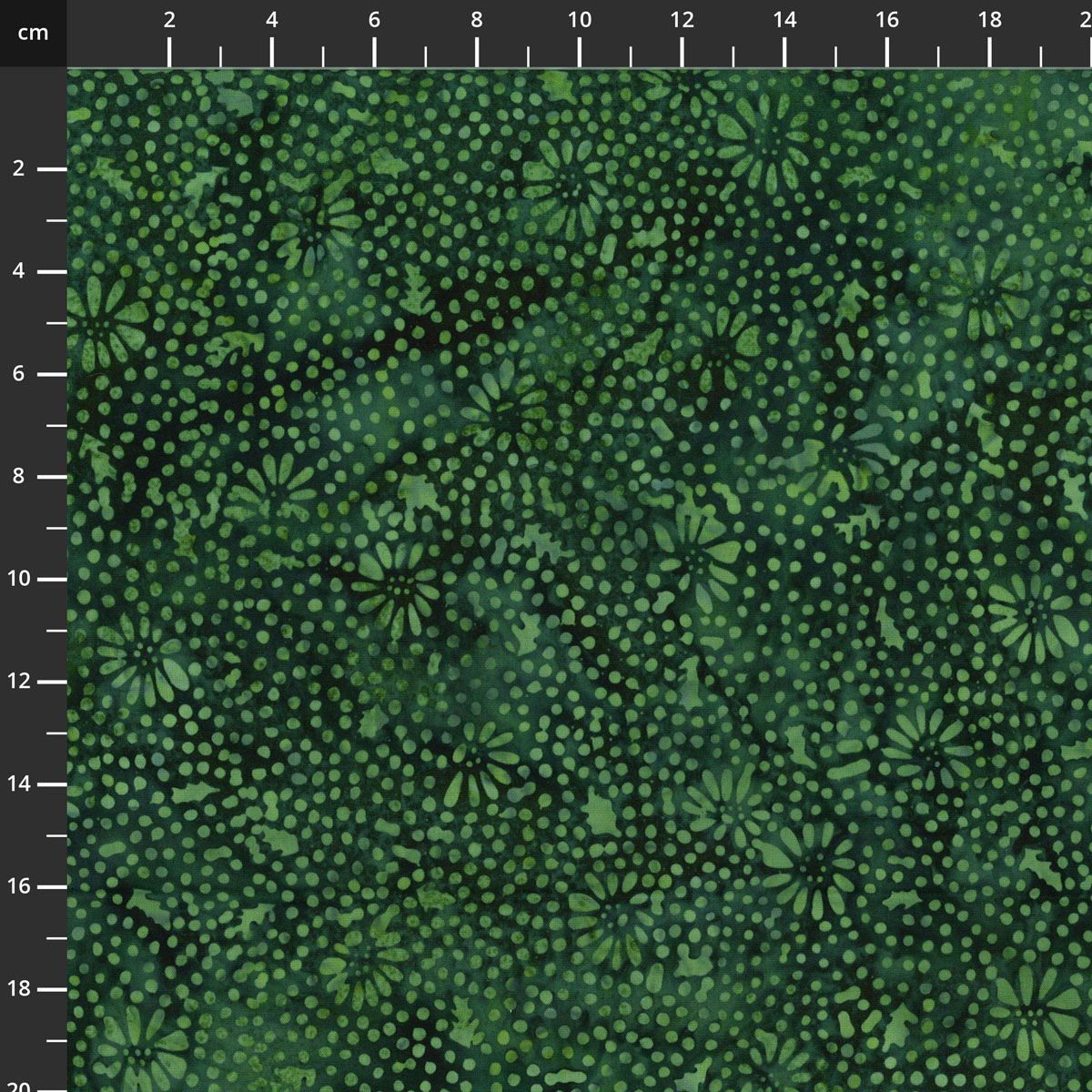 3386-801.jpg