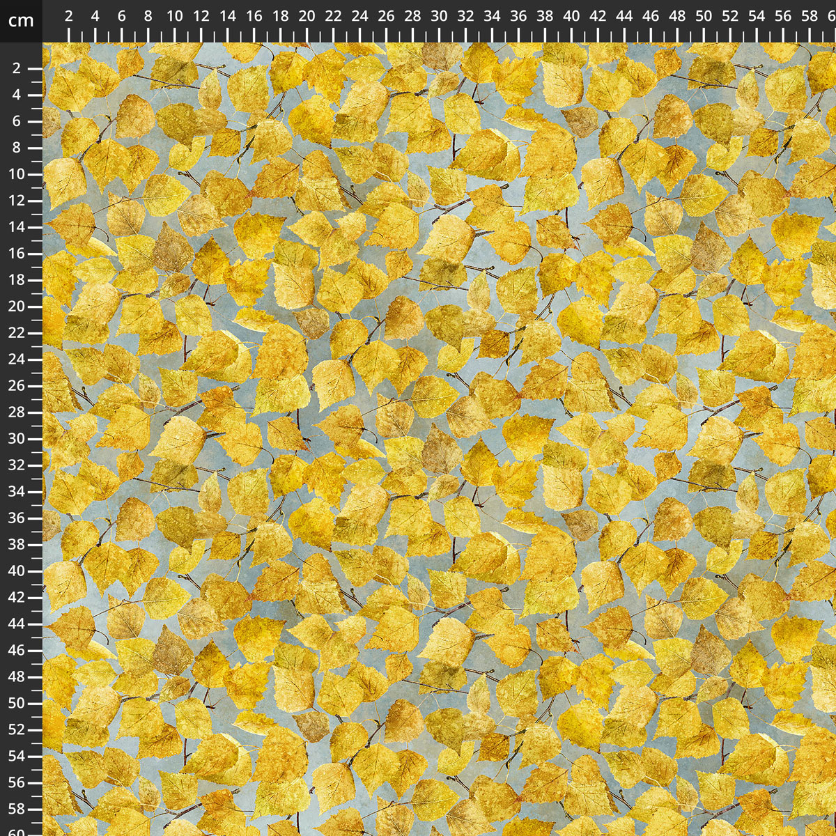 DP29555-44.jpg