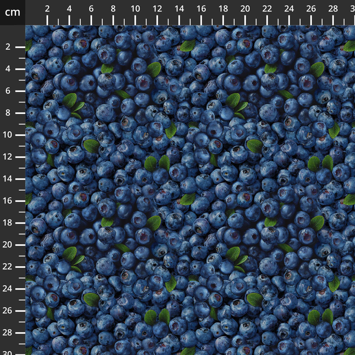 55473D-1Blueberry.jpg