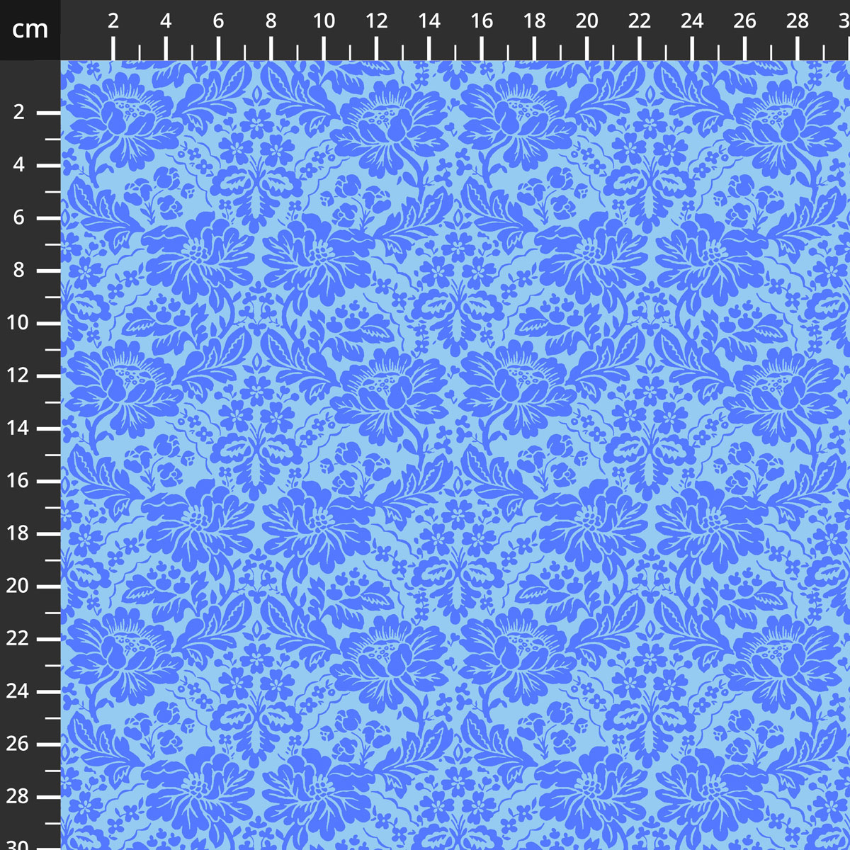 55587-12Cornflower.jpg