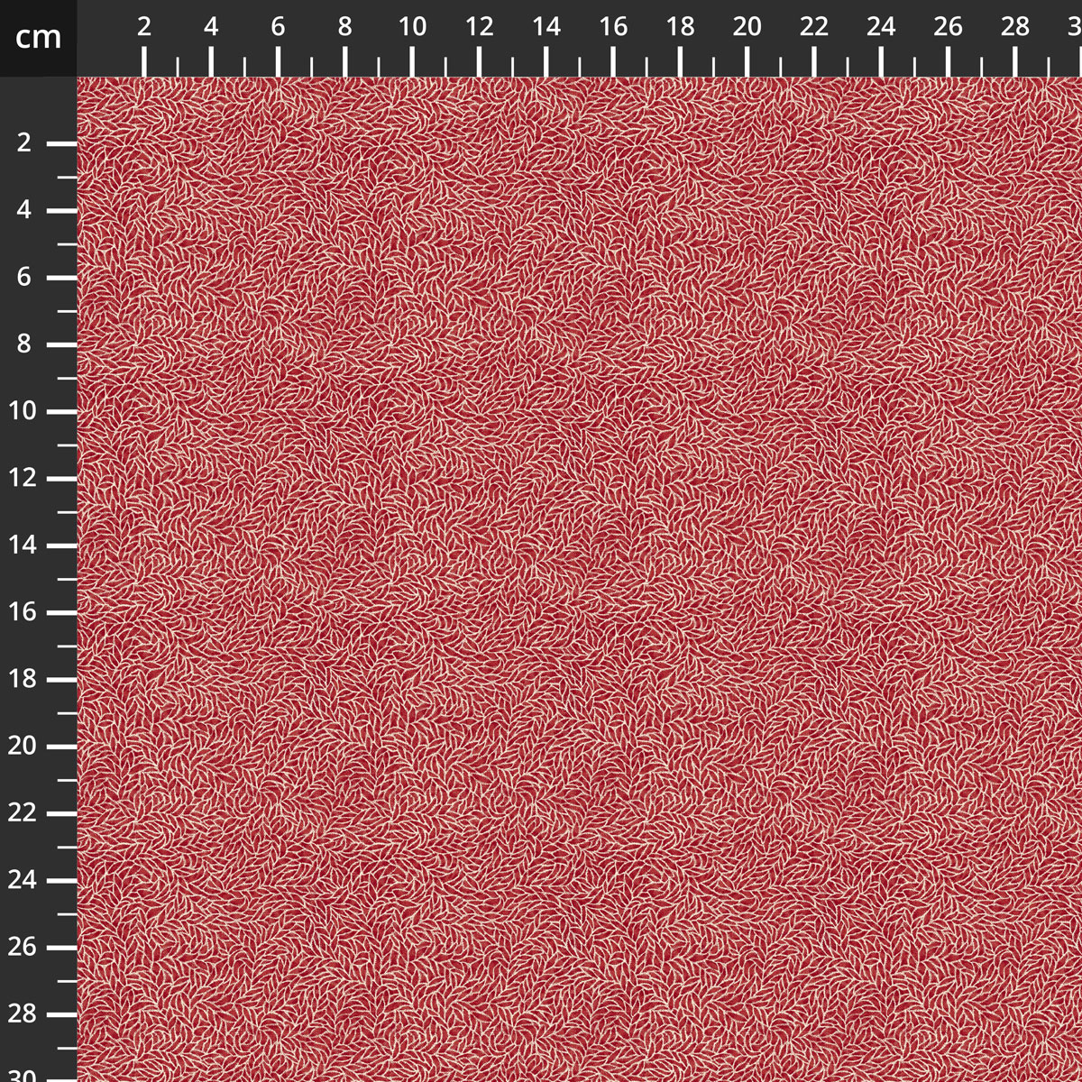 55527-1Red.jpg