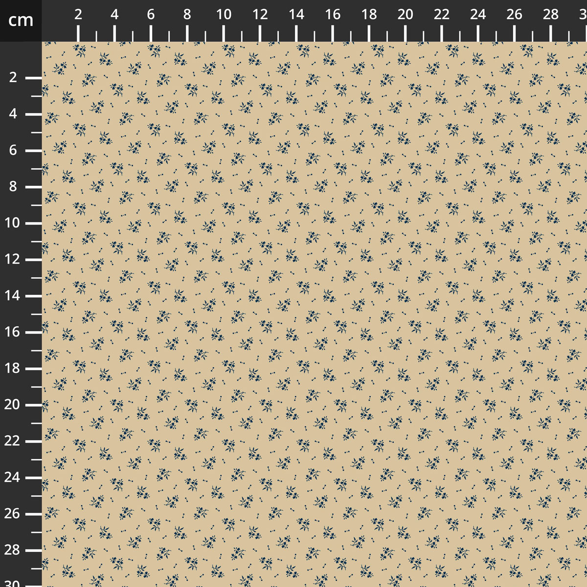 55698-8Parchment.jpg