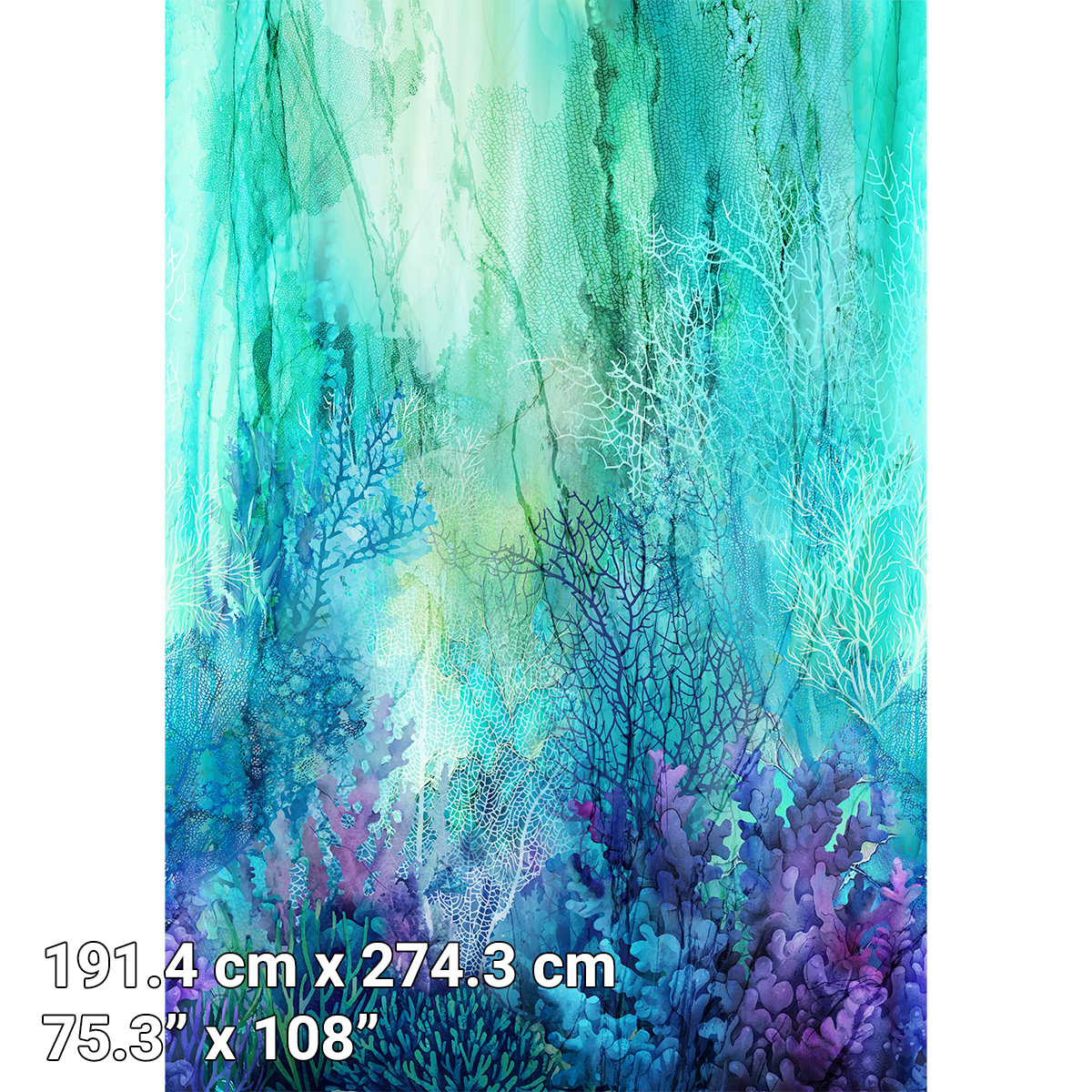 B28876-66.jpg