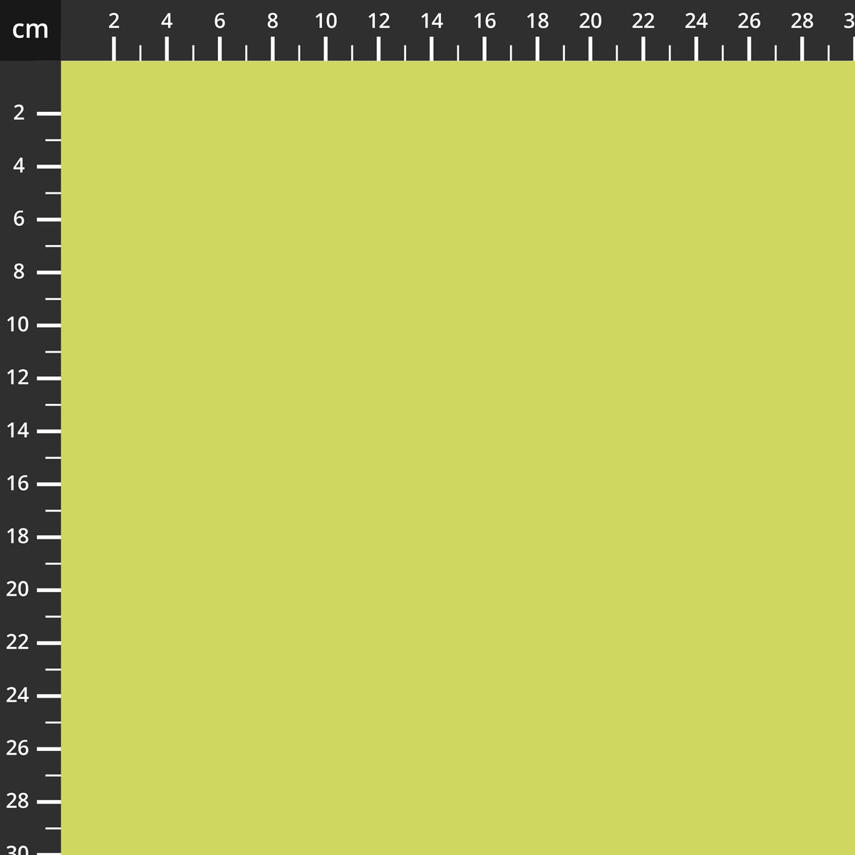 C120-KIWI.jpg