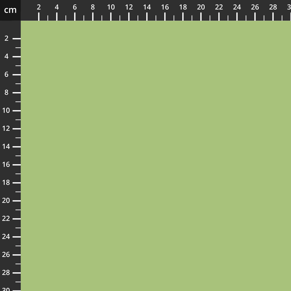 C120-LETTUCE.jpg