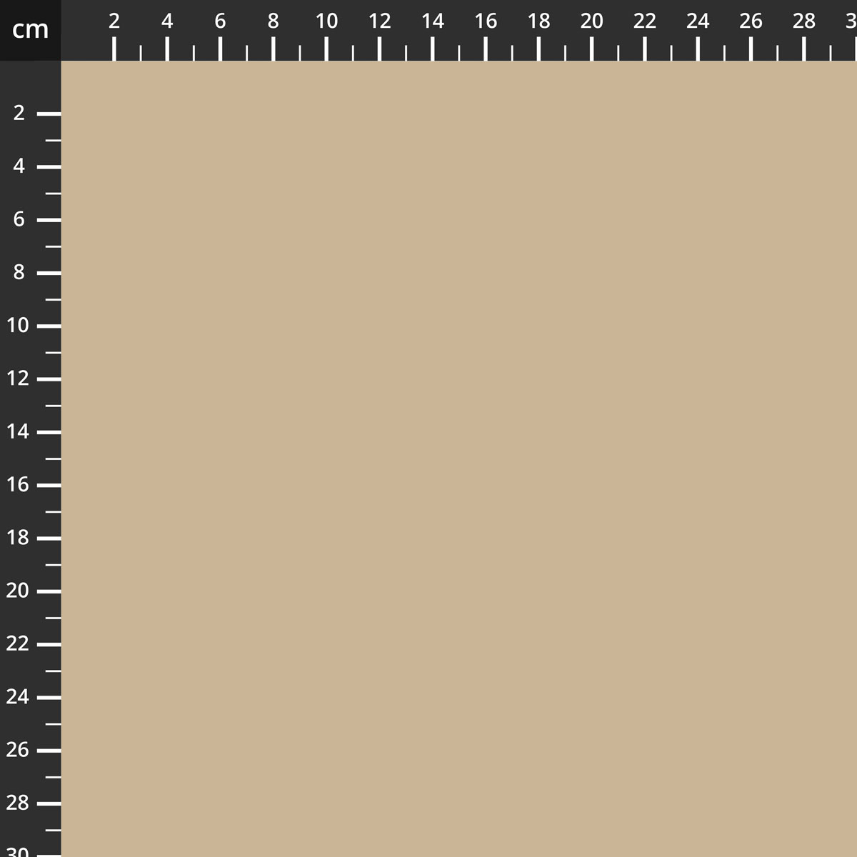 C120-PALOMINO.jpg