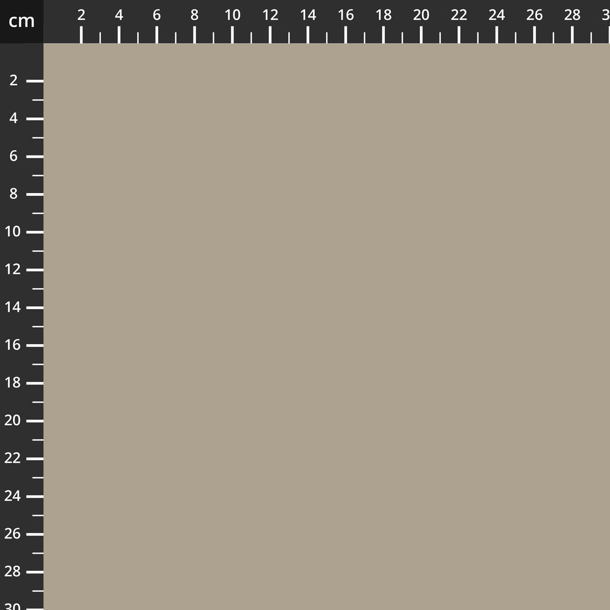 C120-TRAIL.jpg