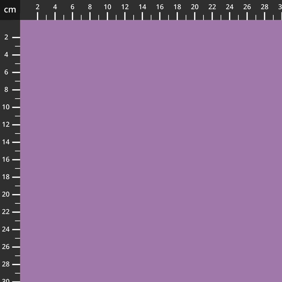 C120-VIOLET.jpg
