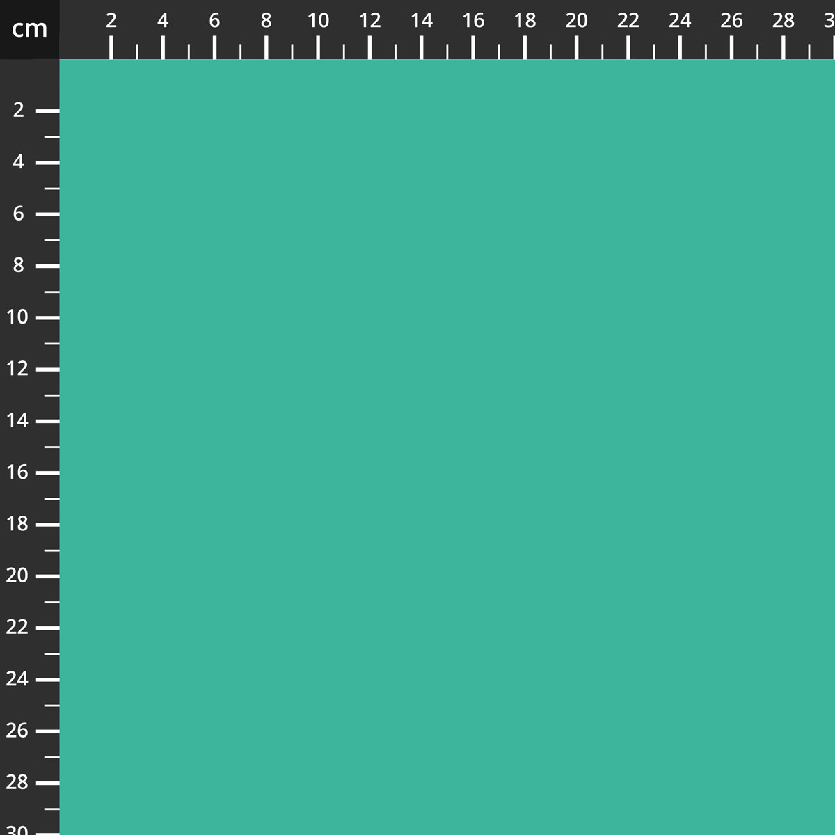 C120-VIVID.jpg