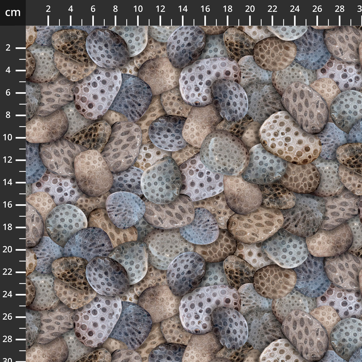 54625D-1Stone.jpg