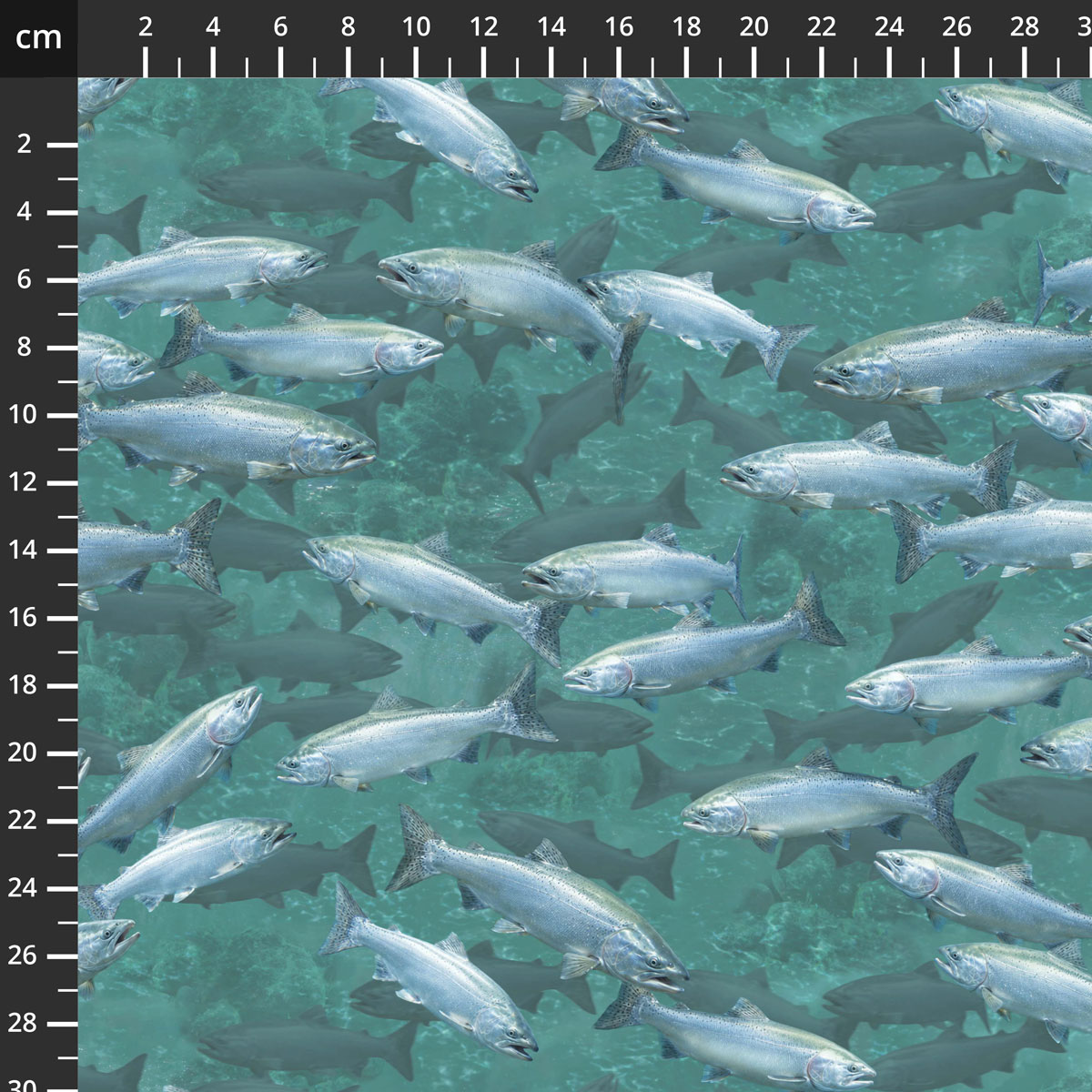 55891D-1Turquoise.jpg