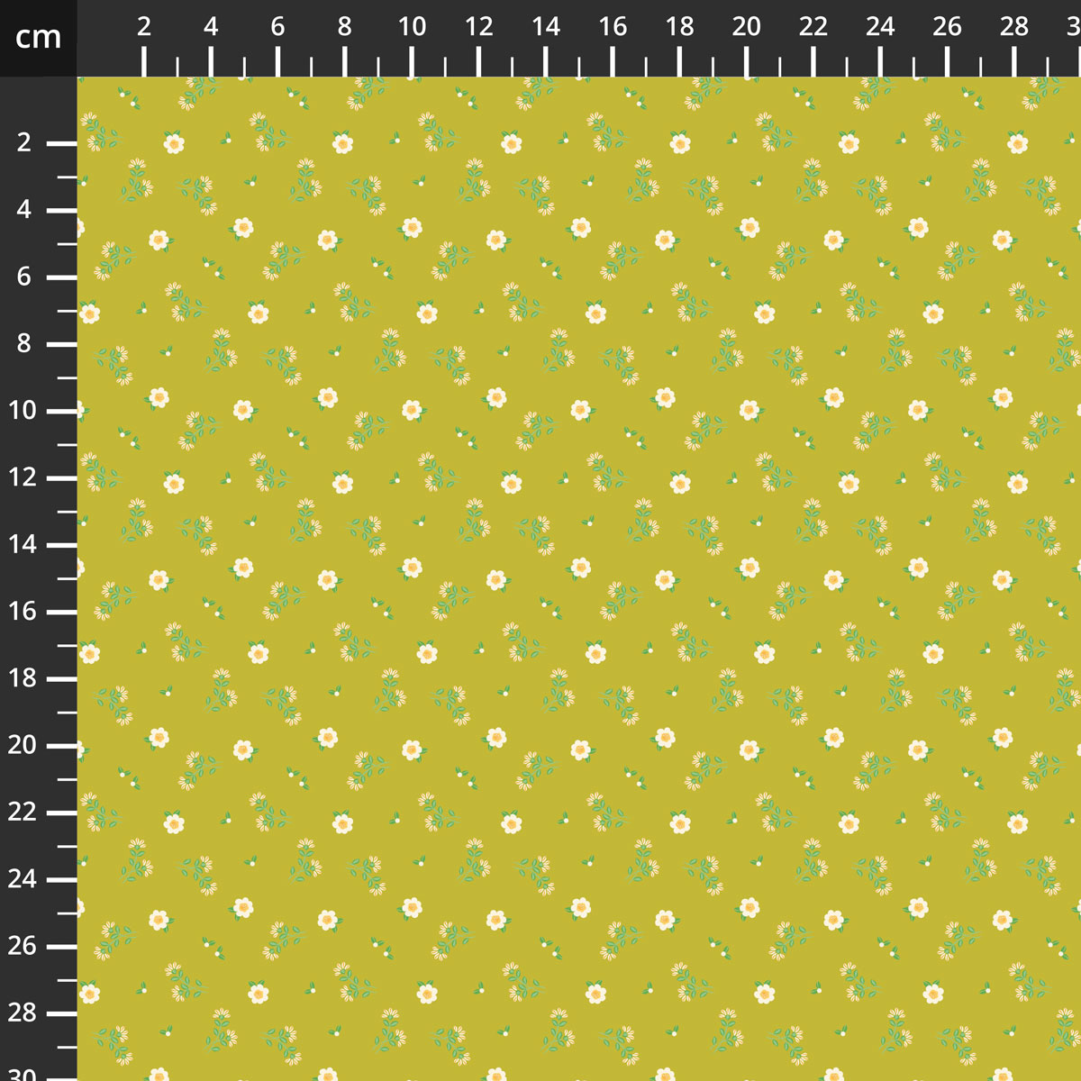 C19036-CITRON.jpg