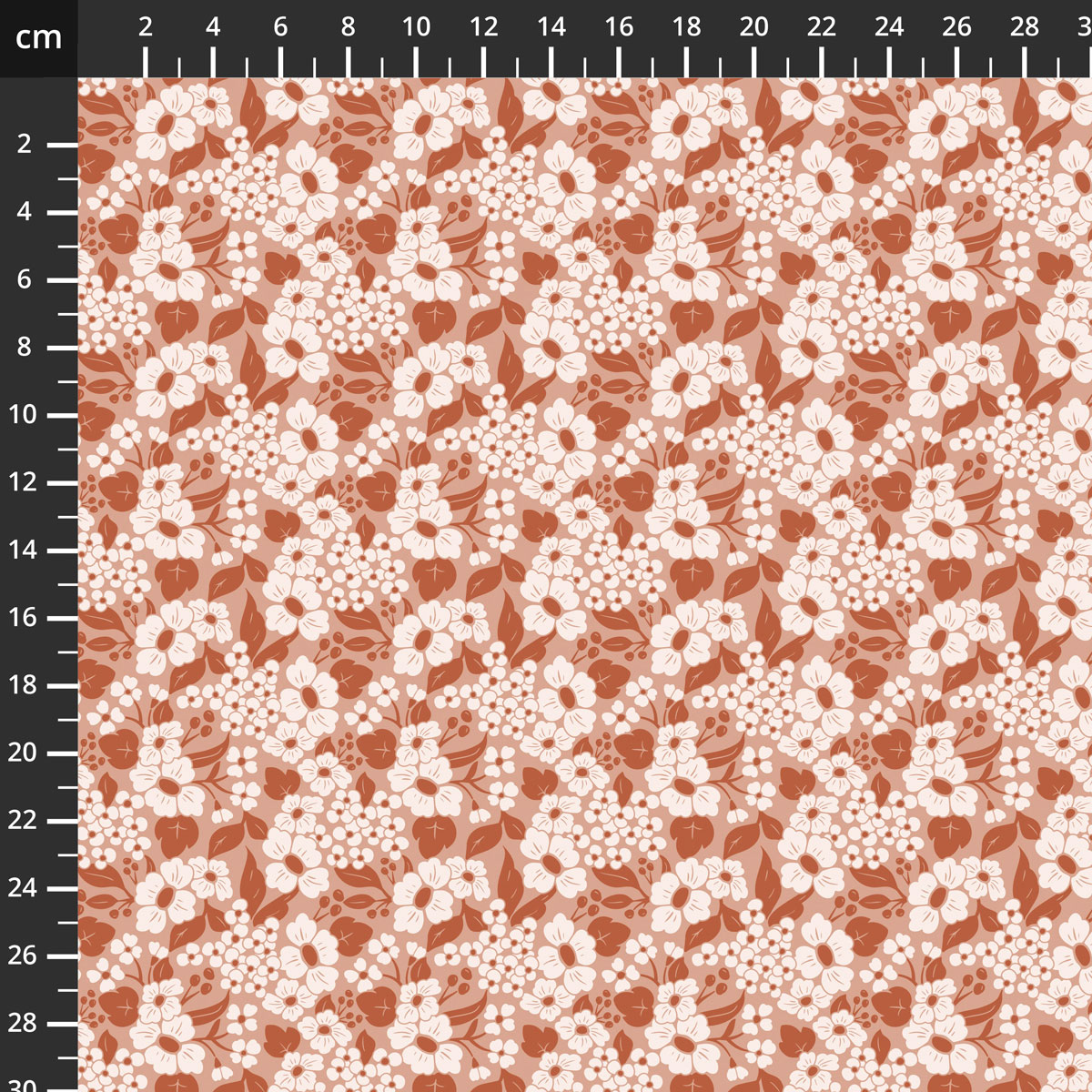 C19252-CORAL.jpg