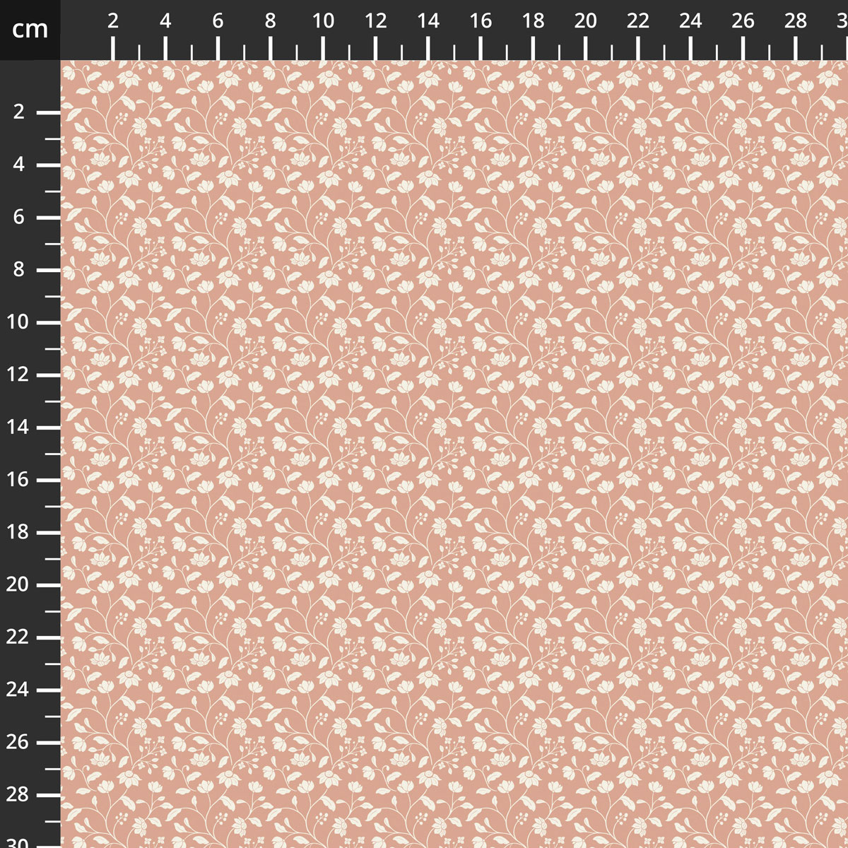 C19255-CORAL.jpg