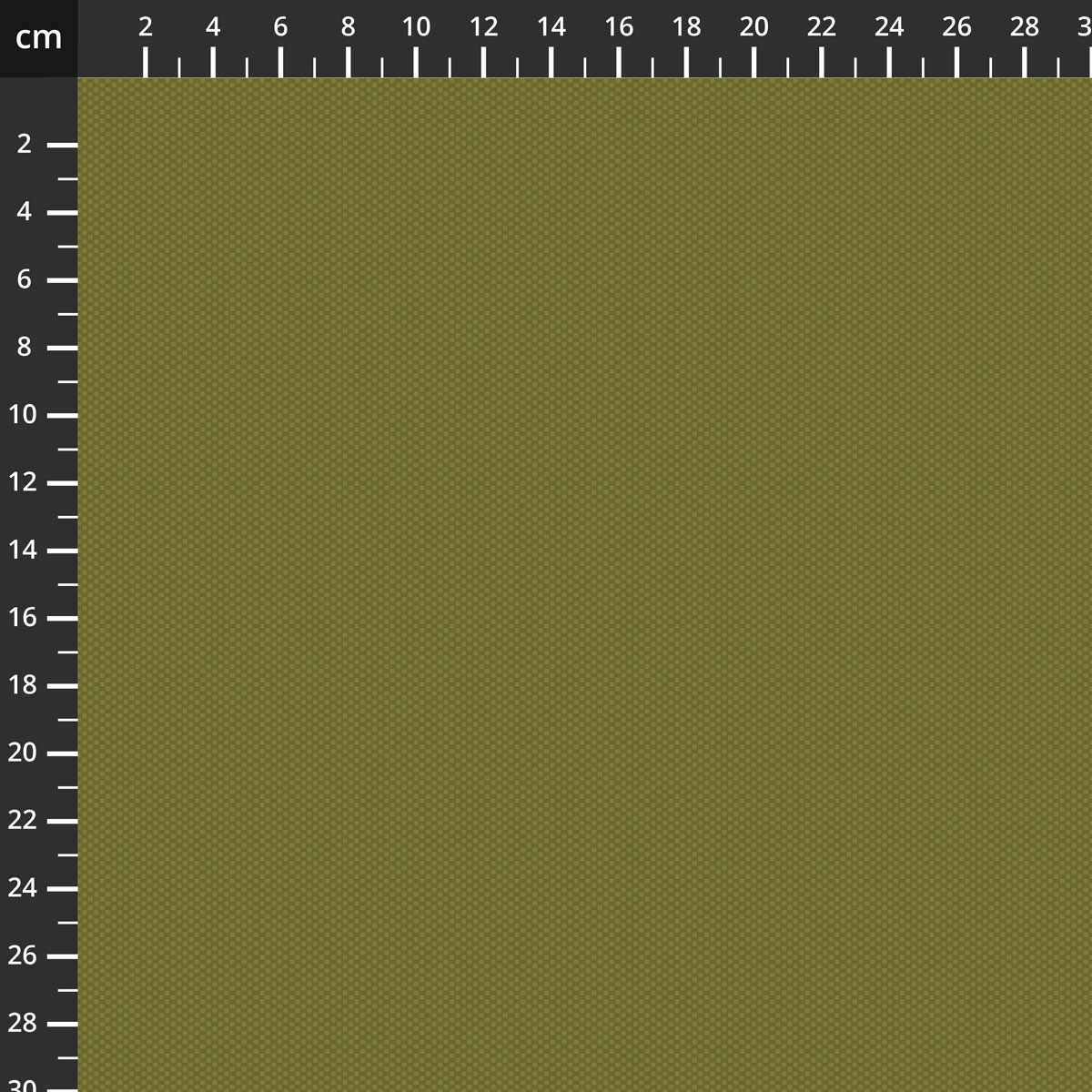 C805-AVOCADO.jpg
