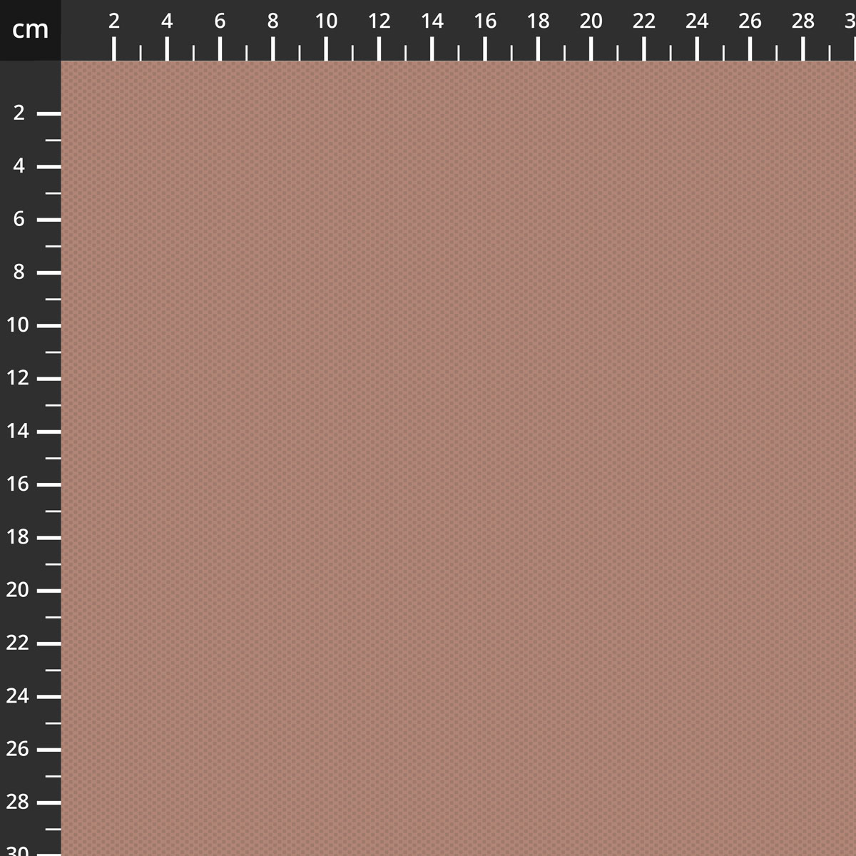 C805-CINNAMON.jpg
