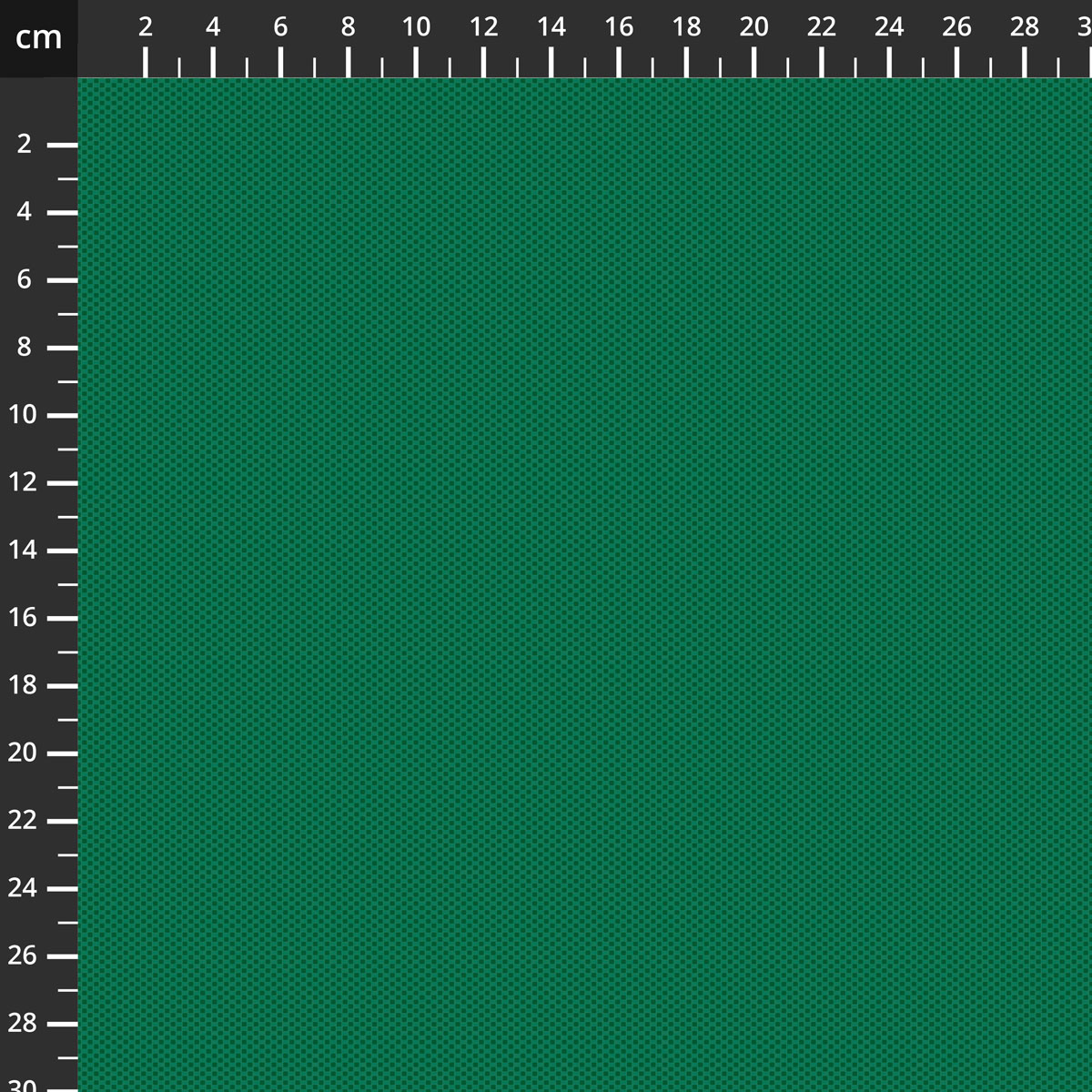C805-FOREST.jpg