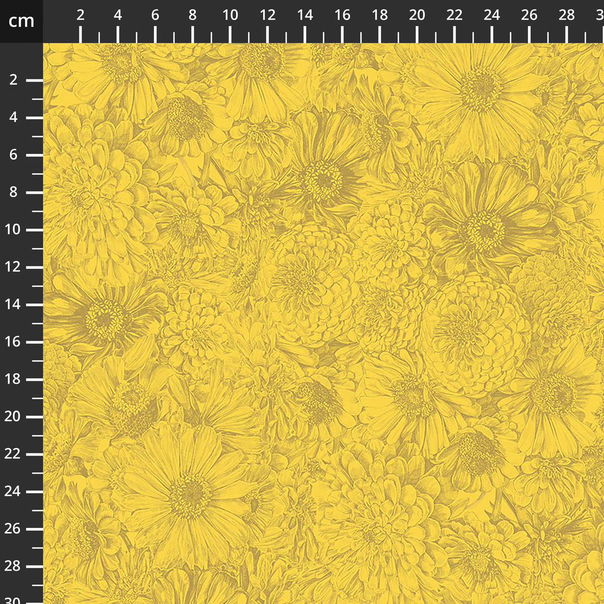 AMT206-54C.jpg