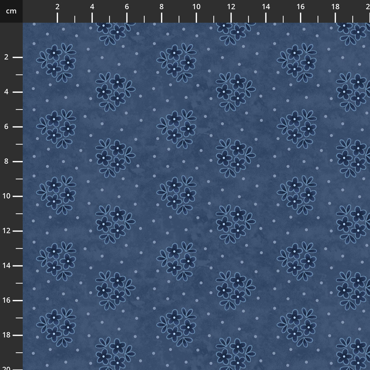 3101-77.jpg