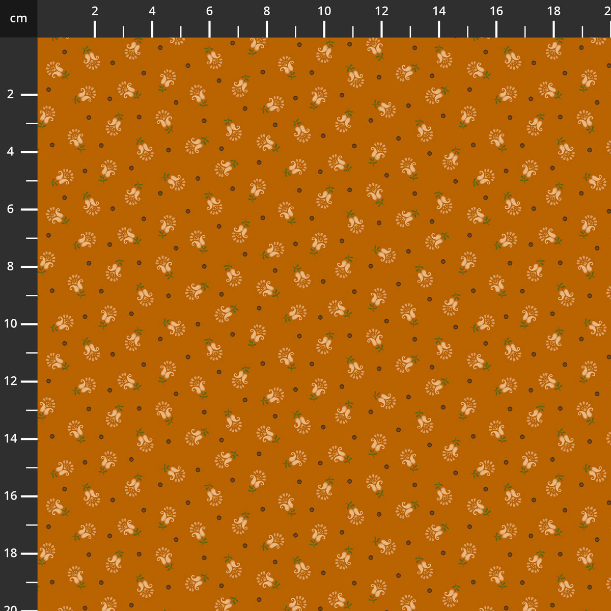 2892-33.jpg