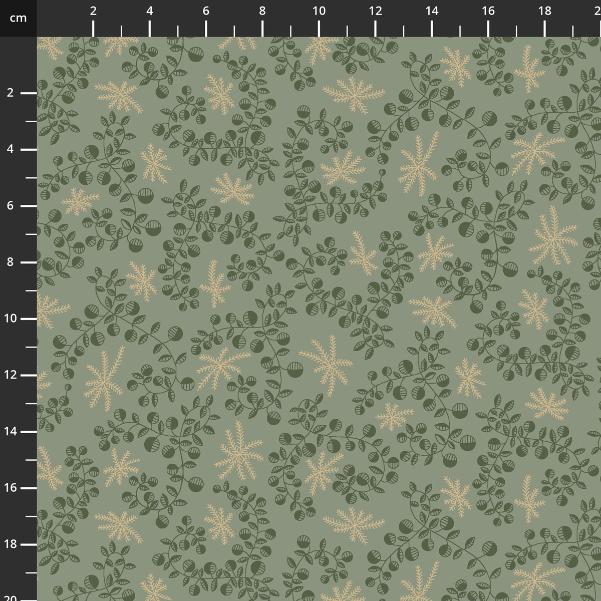 2896-11.jpg