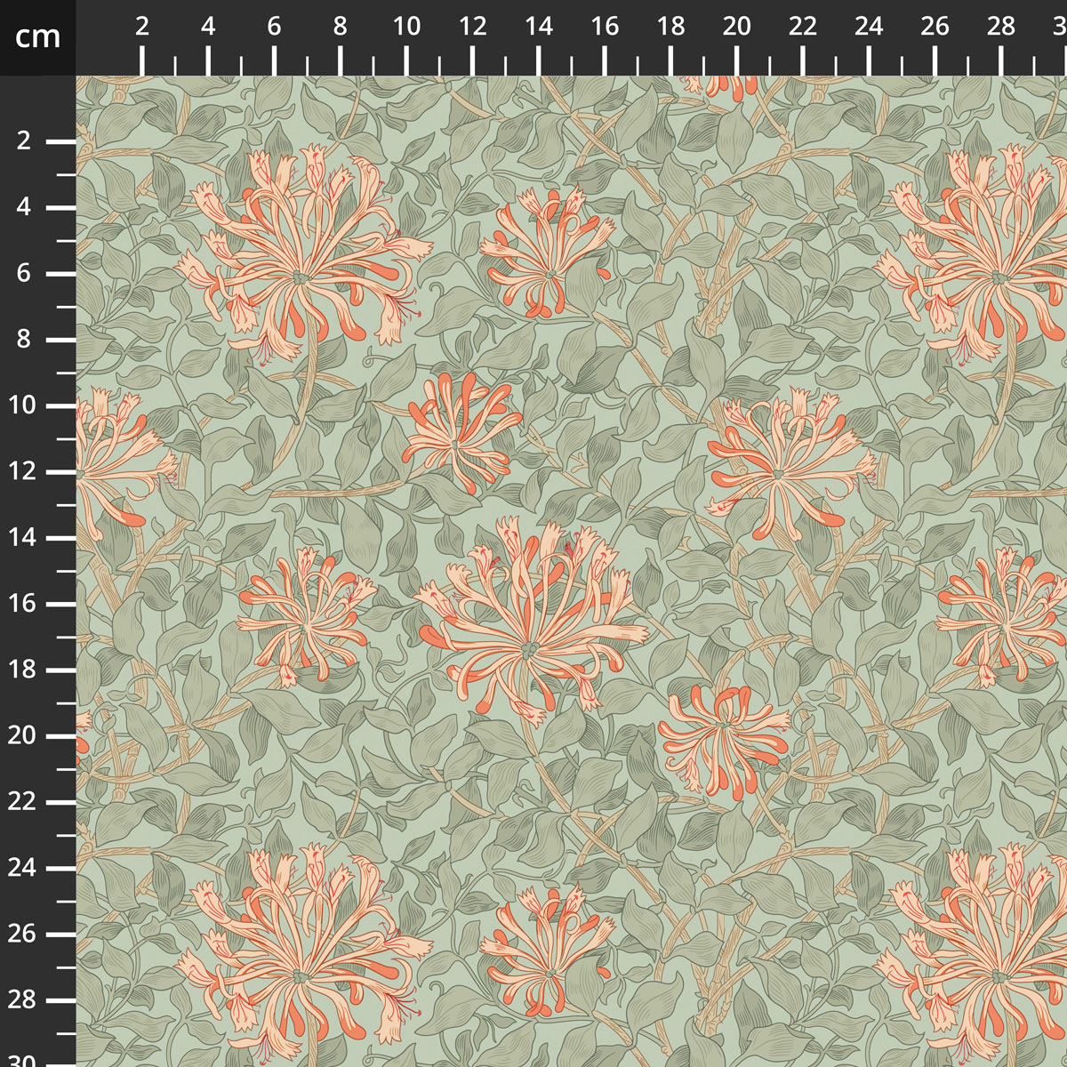 PWWM057.CORAL.jpg