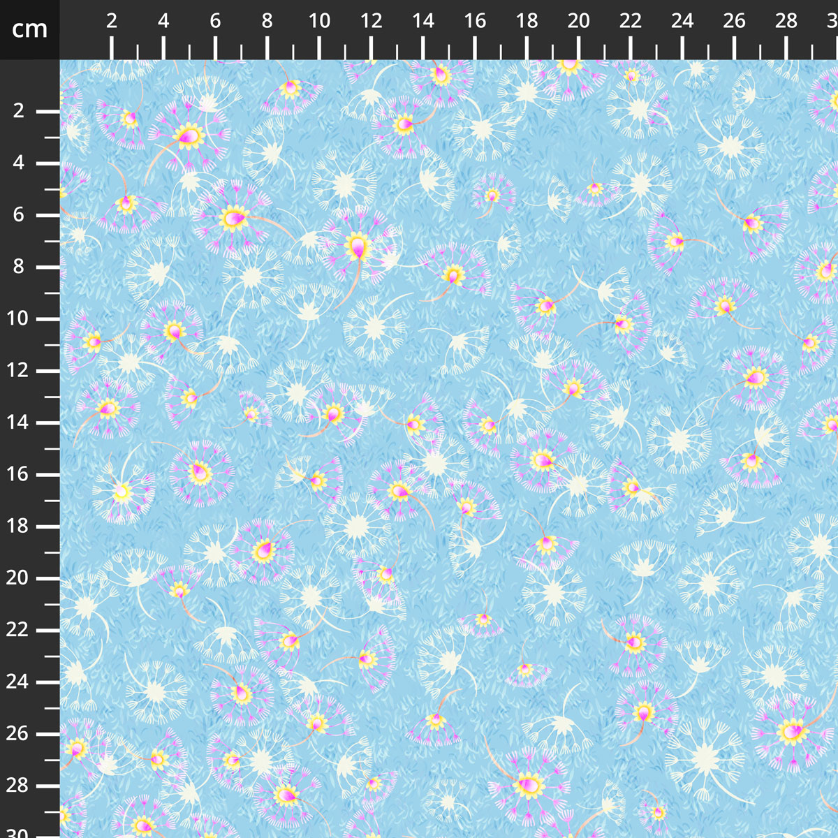 2162-77.jpg