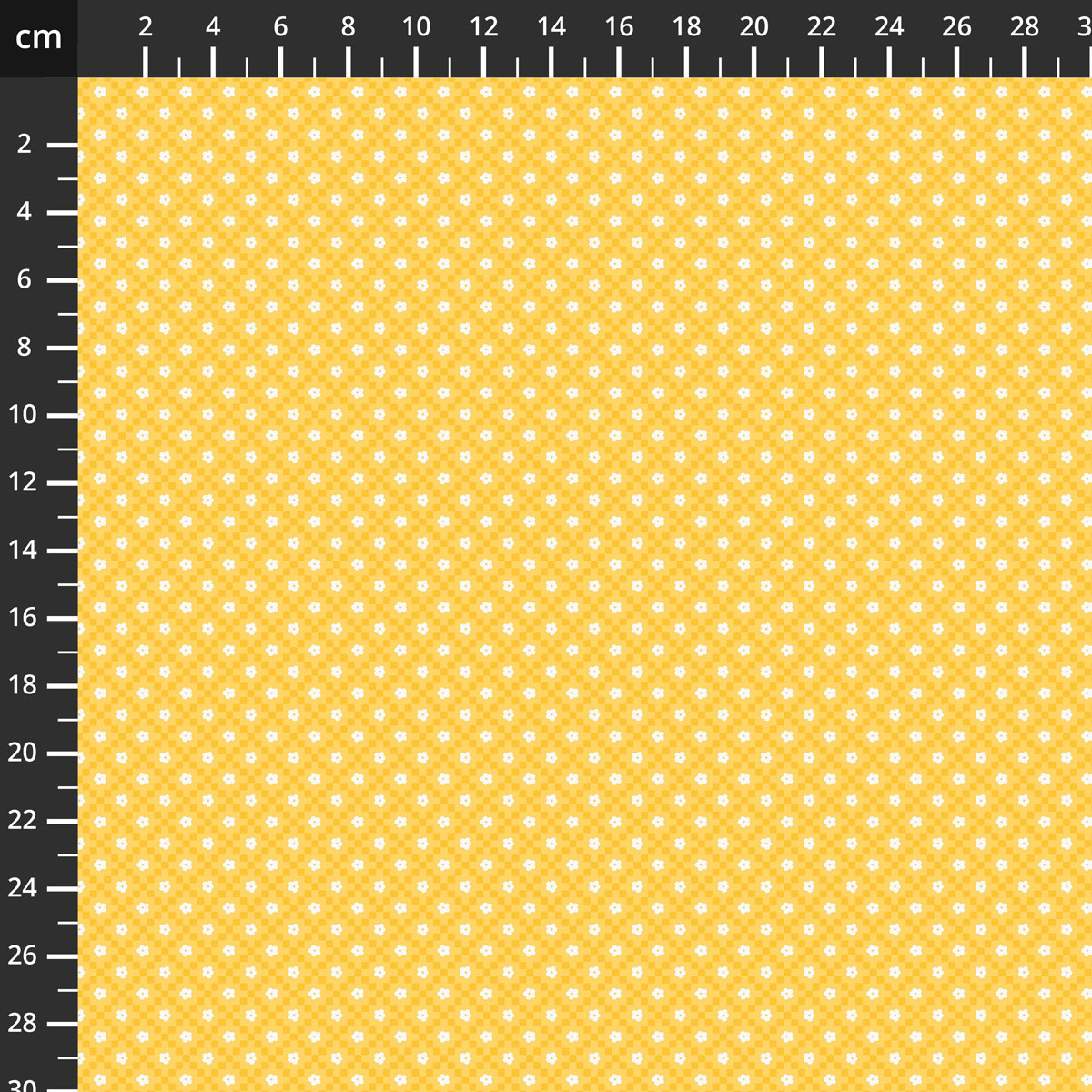C19437-YELLOW.jpg