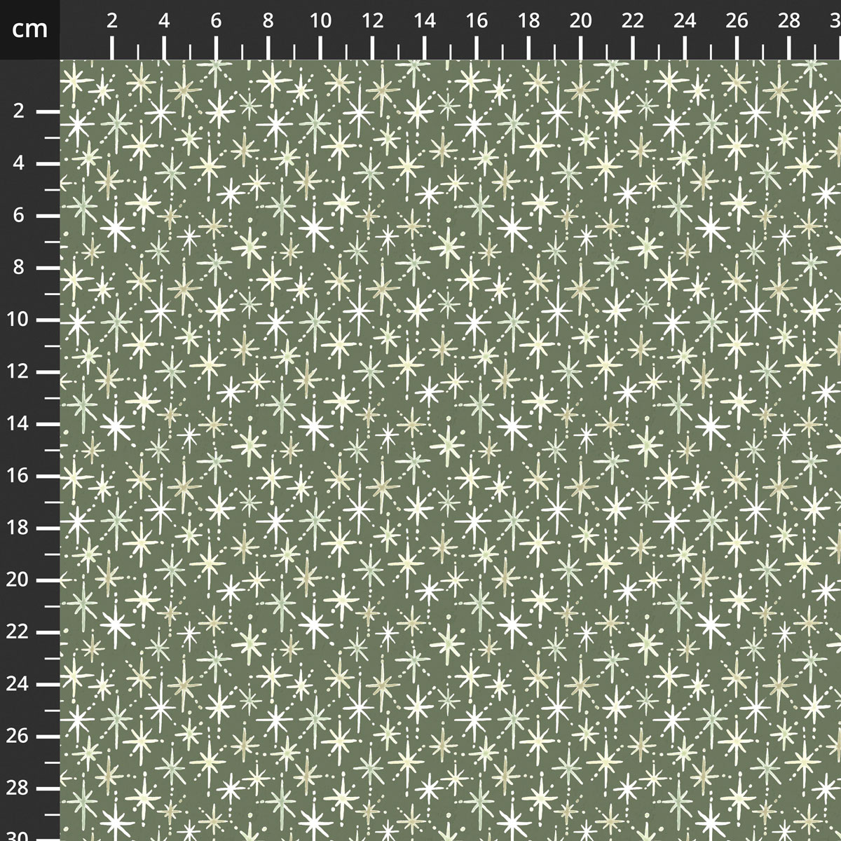 25112-GRN-CTN-D.jpg